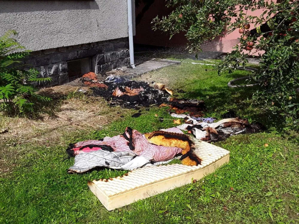 ViewImage (1)
