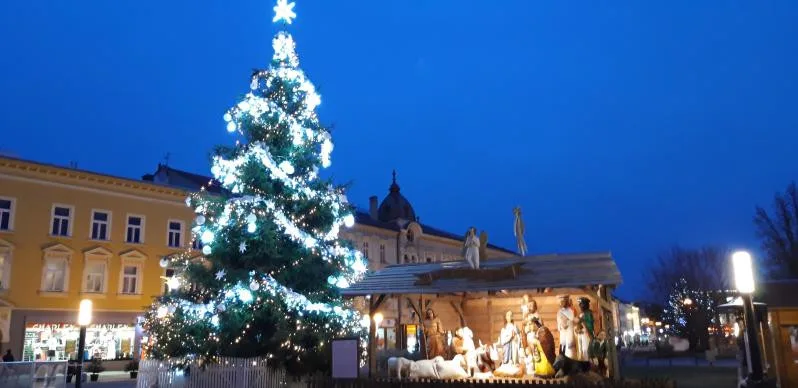 Až se zima zeptá... Město Prostějov již začalo hledat letošní vánoční strom