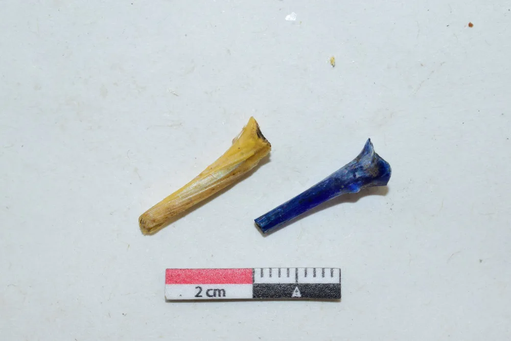 Archeologové u Němčic nad Hanou zkoumají keltskou sklářskou dílnu. Nejstarší severně od Alp