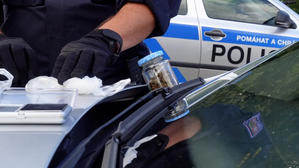 Policisté při razii dopadli mladíka s desítkami psychotropních lysohlávek