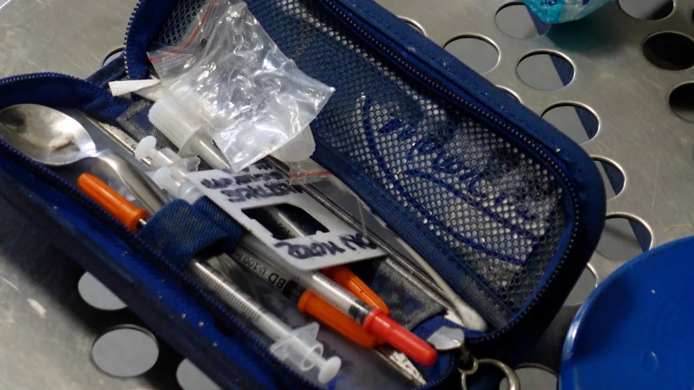 Policisté při razii dopadli mladíka s desítkami psychotropních lysohlávek