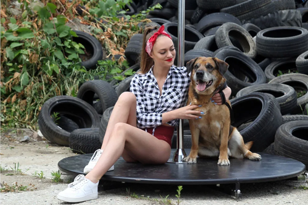 Plakáty pro letošní ročník charitativního projektu Pole Dogs vznikaly během jediného víkendu