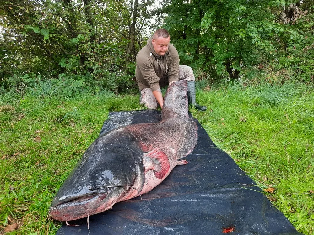 Neskutečný zážitek přineslo rybaření na Poděbradech u Olomouce Michalu Staňkovi. Rekordní sumec měřil 251 cm