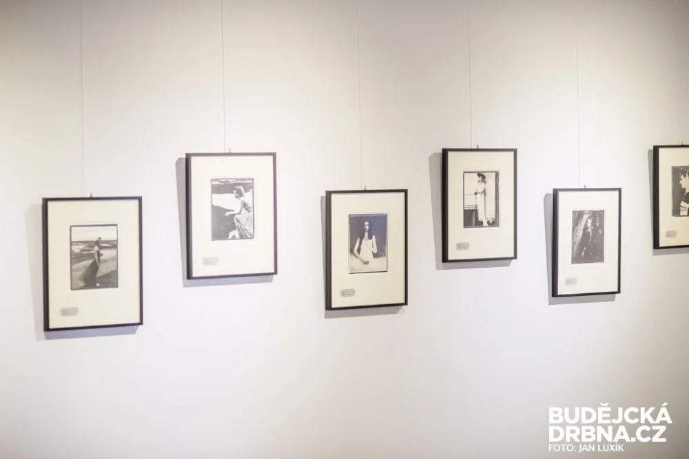 Platinová kolekce fotografií Roberta Vana - ilustrační foto
