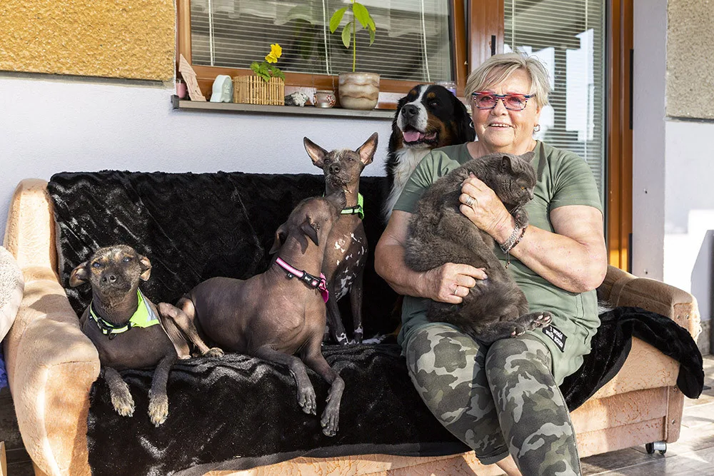 Jana Dohnalová ze Šternberku se věnuje canisterapii a felinoterapii. Za klienty jezdí s fenkami peruánského naháče, bernského salašnického psa a s kocourem Jonášem