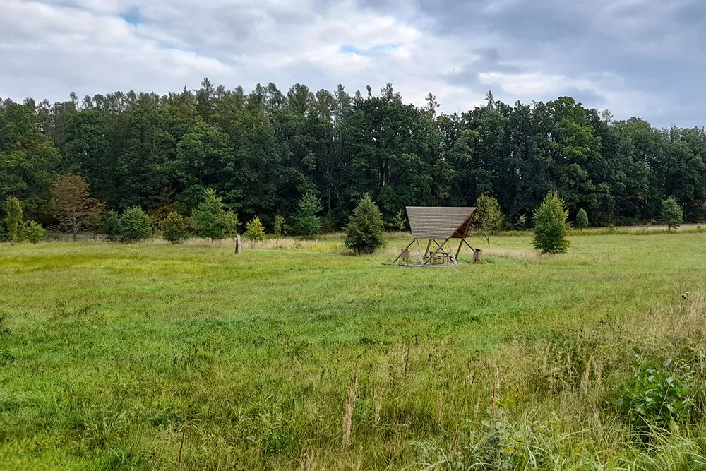 Nové arboretum Osina bude určené lesníkům, studentům i návštěvníkům z řad veřejnosti