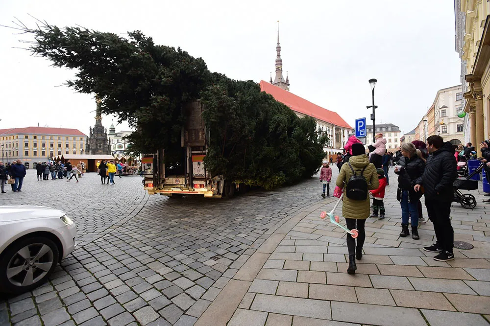 Nadměrný náklad více než dvacet metrů dlouhého stromu přicestoval v neděli na Horní náměstí v Olomouci