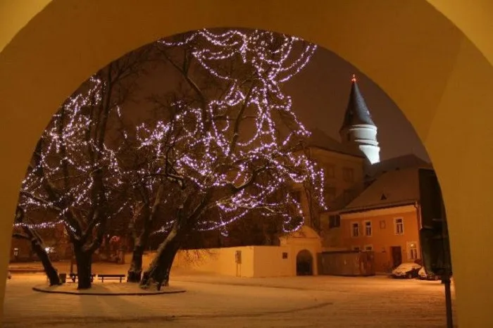 Str_61_Hornak