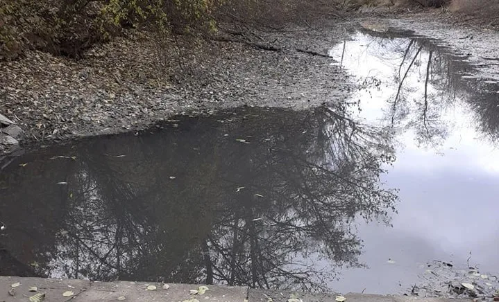 Zloději u Čekyně vypustili rybník a ukradli ryby. Zmizelo generační hejno línů