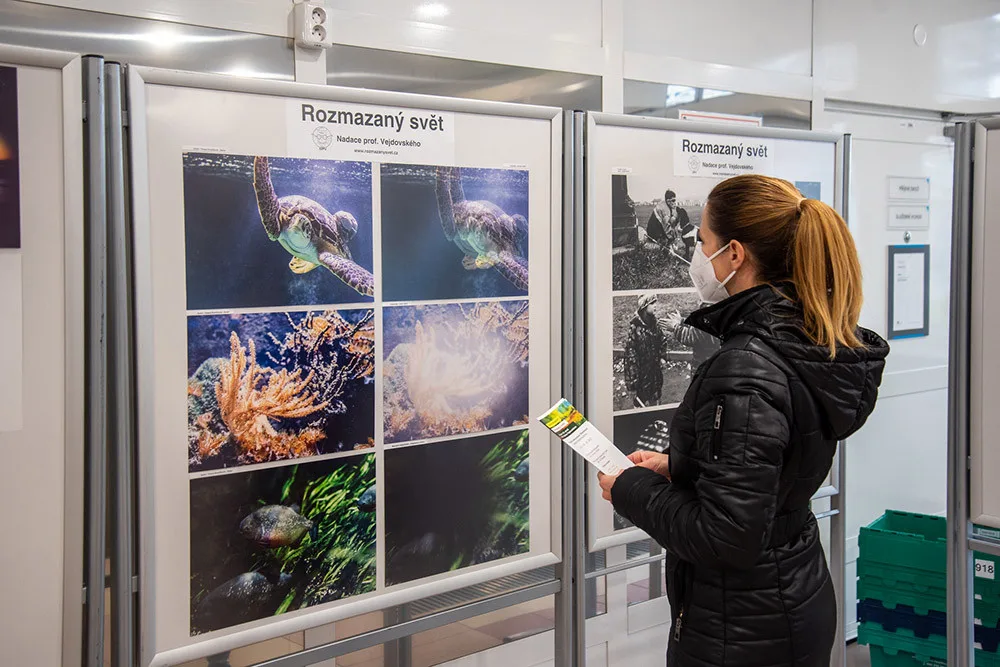 Výstava Rozmazaný svět v foyer budovy A olomoucké fakultní nemocnice