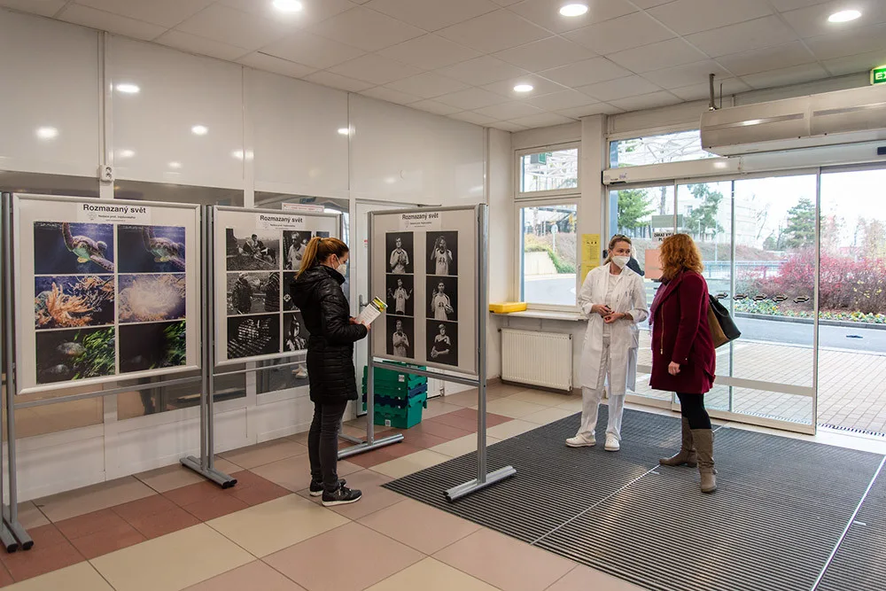 Výstava Rozmazaný svět v foyer budovy A olomoucké fakultní nemocnice