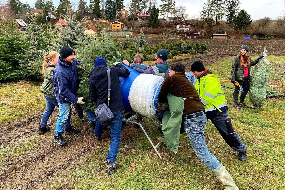 Plantáž vánočních stromů Bělecký mlýn na Prostějovsku