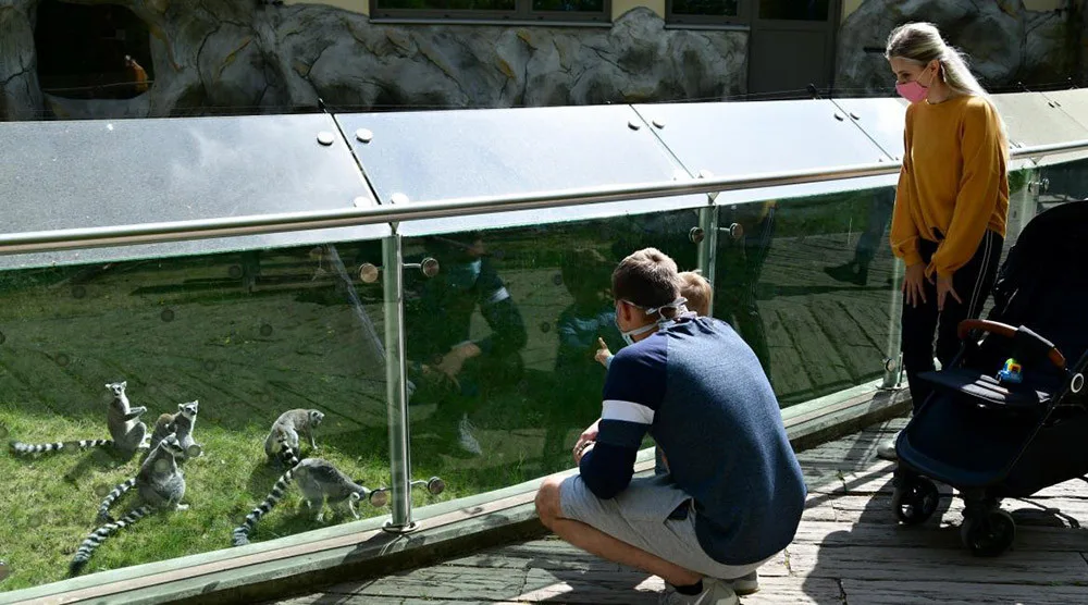 Zoologická zahrada Olomouc se loni otevřela návštěvníkům až v dubnu