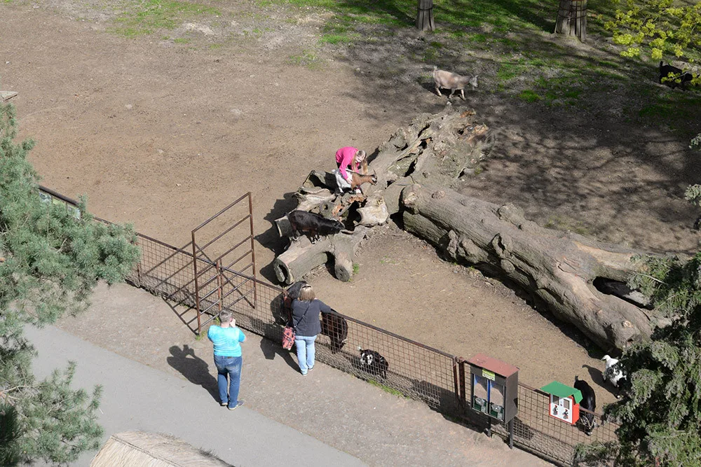 Původní oplocení výběhu zakrslých koz v olomoucké zoo