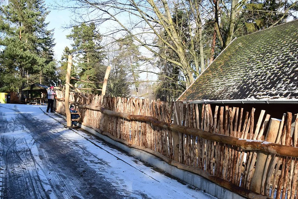 Olomoucká zoo zvelebila jeden z nejoblíbenějších výběhů. Apeluje i na správné chování ke kozám