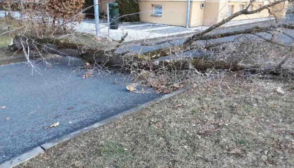 Kvůli silnému větru mají hasiči v kraji již stovku zásahů. Ve Dzbelu spadl strom na osobní vlak