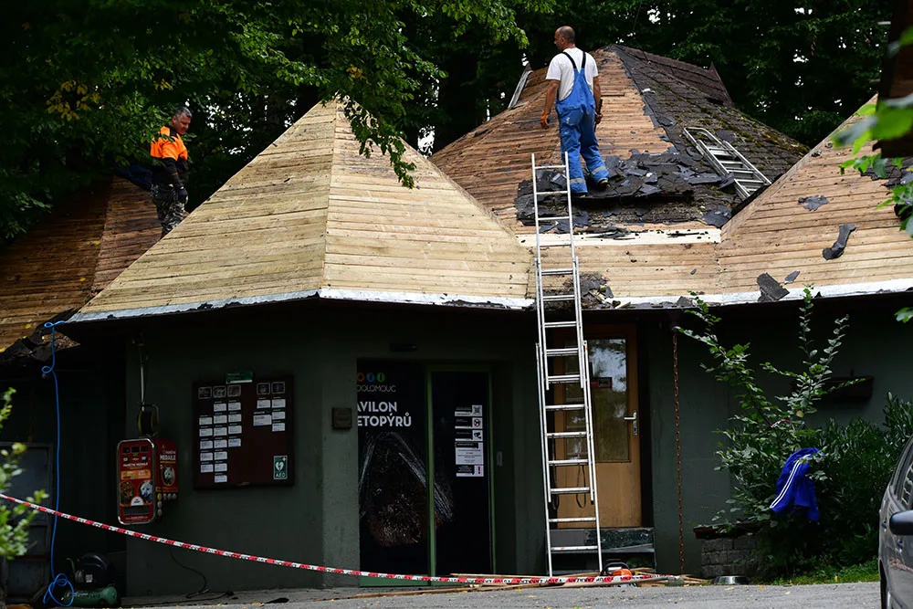 Pavilon netopýrů a nočních živočichů v olomoucké zoo bude mít modernější podobu