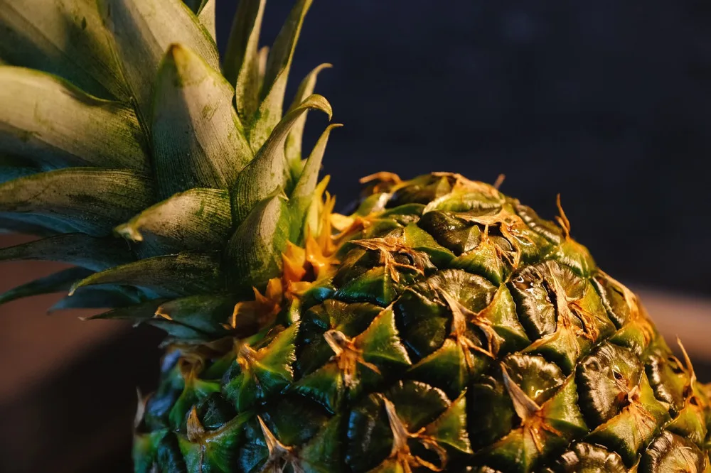 pineapple-5622824_1280