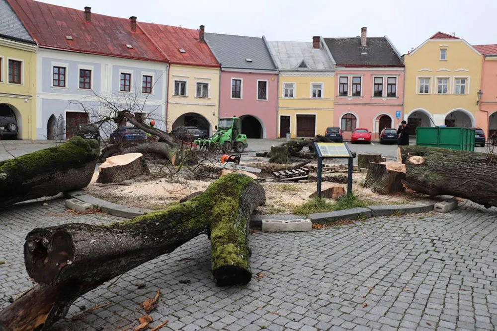 Šest staletých líp na přerovském Horním náměstí pokáceli pracovníci odborné firmy