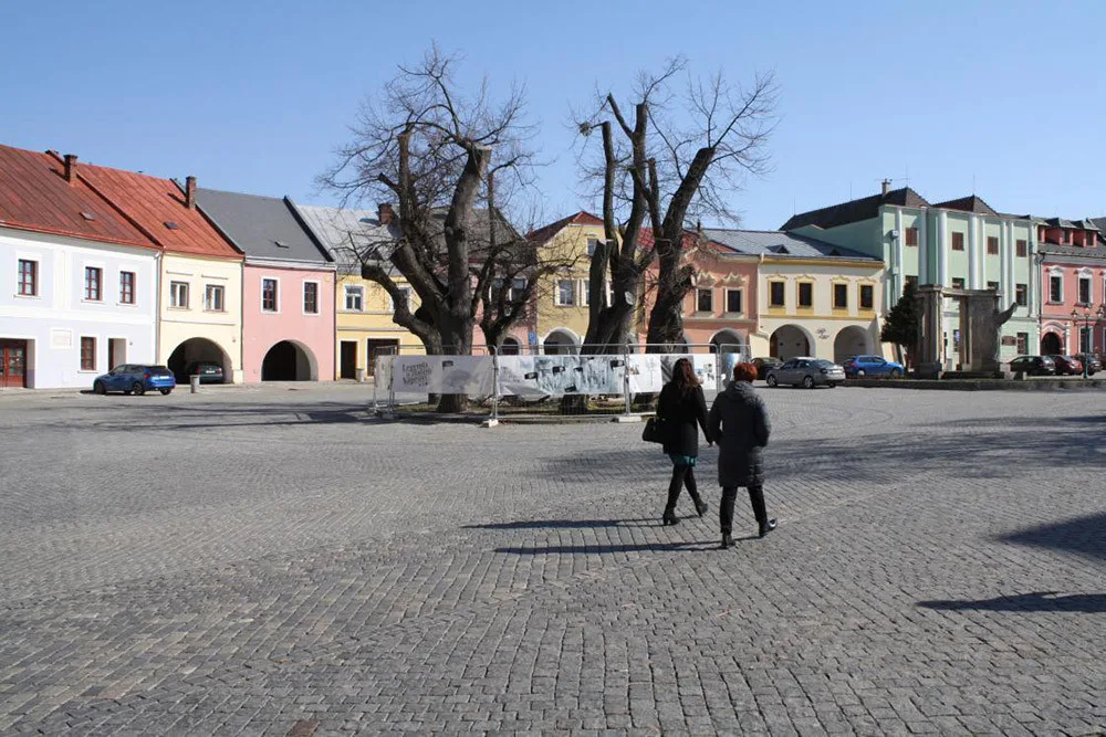 Šest staletých líp na přerovském Horním náměstí pokáceli pracovníci odborné firmy