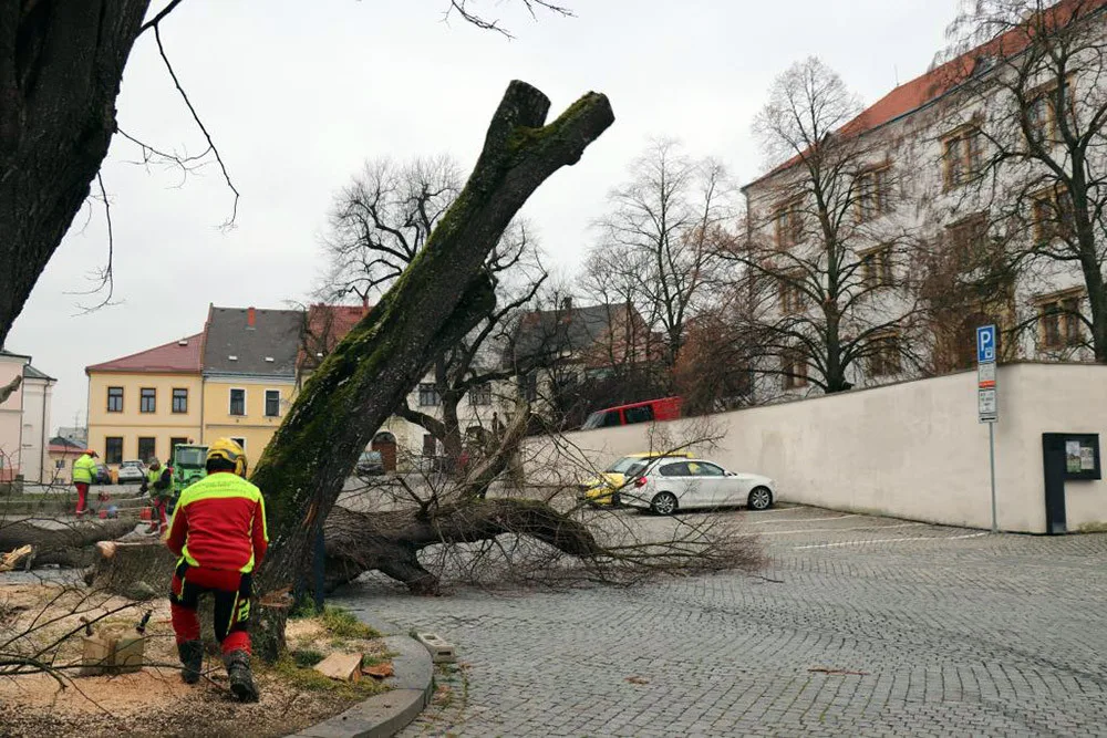 Šest staletých líp na přerovském Horním náměstí pokáceli pracovníci odborné firmy