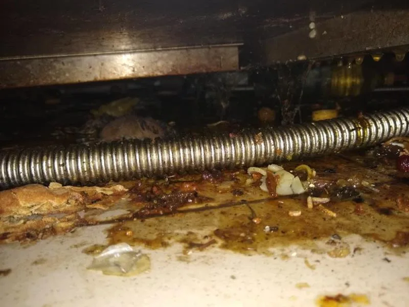 Inspektoři SZPI odhalili v restauraci řadu prohřešků proti hygieně