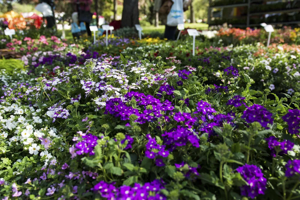 Výstava Flora Olomouc