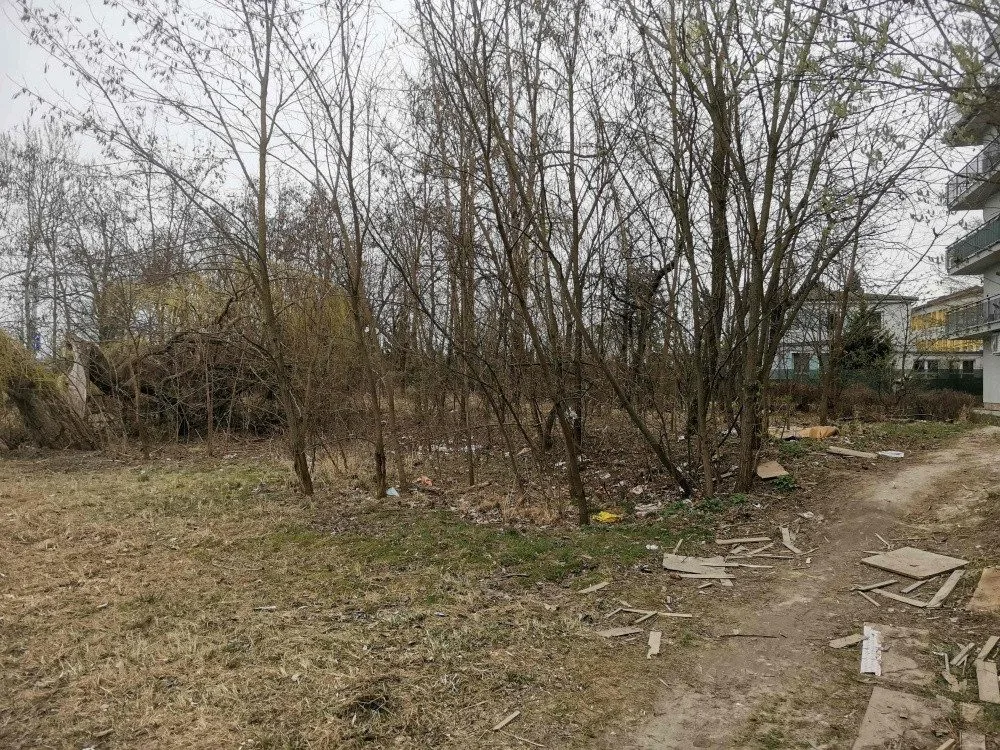 Pás zeleně na Švýcarském nábřeží v Olomouci by měl dostat upravenou podobu