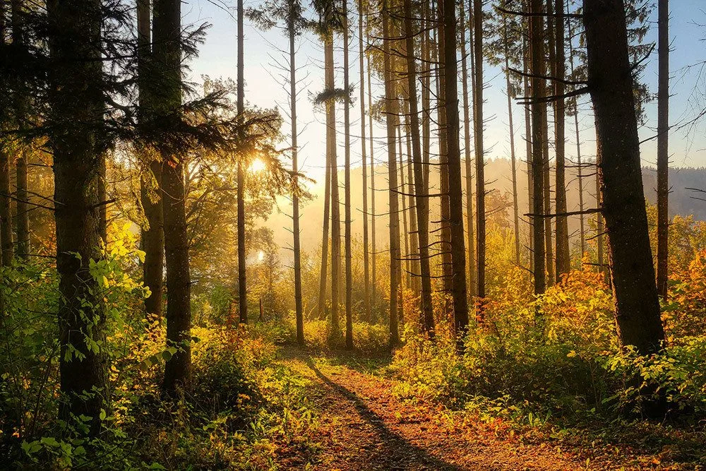 Ilustrační foto