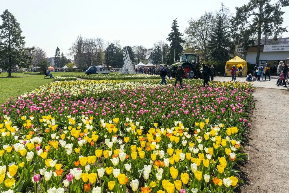 Záhony u pavilonů G a H ve Smetanových sadech v Olomouci