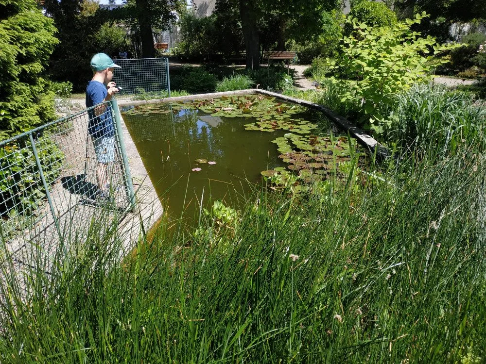 FOTOGALERIE: Botanická zahrada v Prostějově je kvetoucí oázou klidu. Má i lavičku zamilovaných