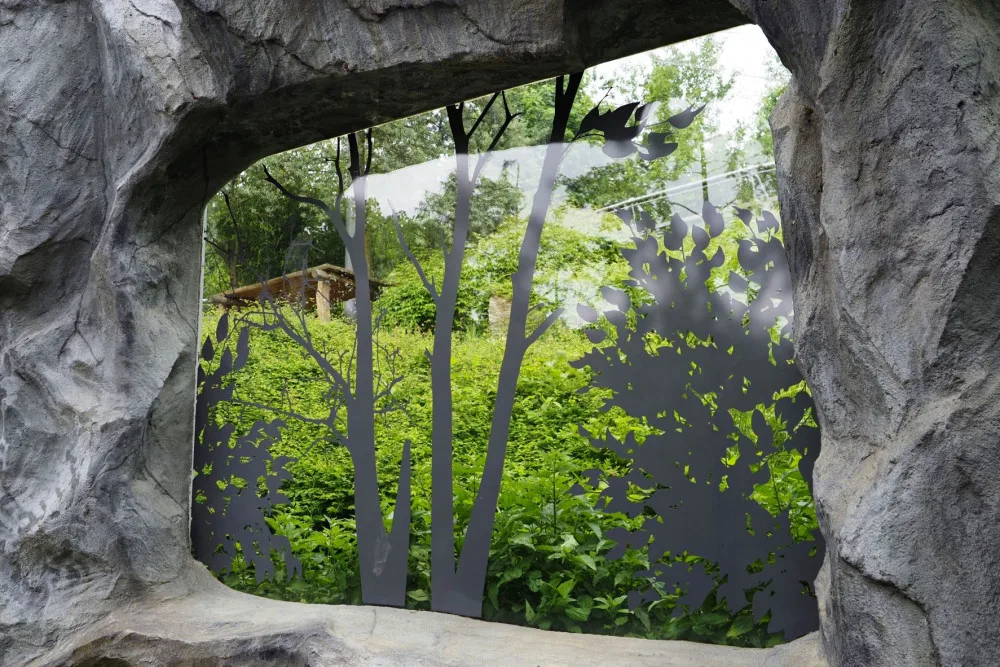 Ptáky, kteří v olomoucké zoo naráželi na prosklený pavilon levhartů, zastaví speciální nálepky