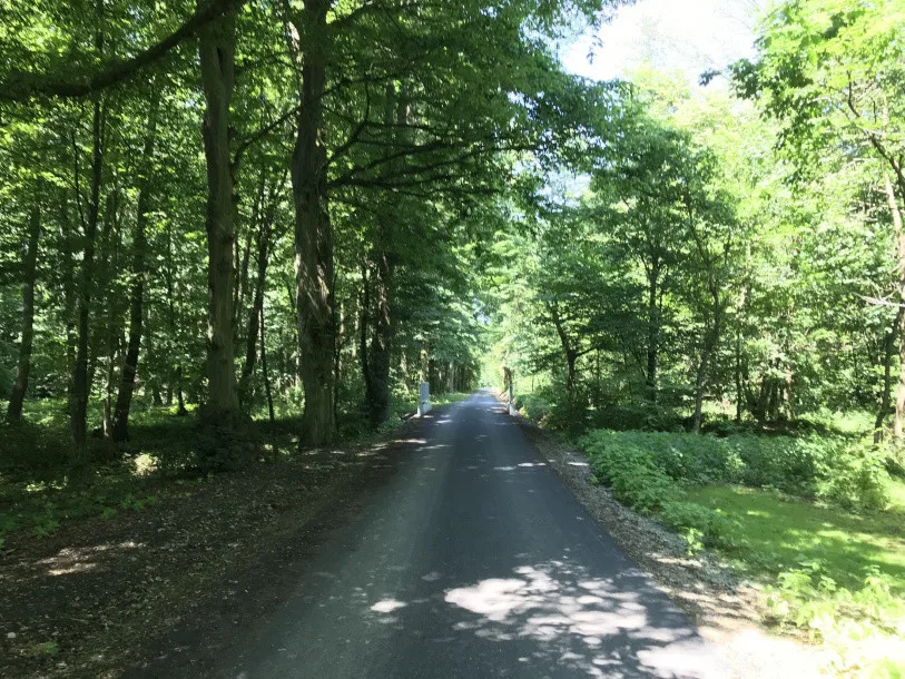 Turisté se dostanou snadněji k Lovecké chatě v Litovelském Pomoraví. Cesta má asfaltový povrch