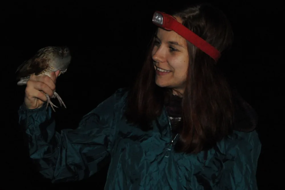 Odborníci z olomoucké zoo kroužkovali ohrožené luční duchy. Tak říkají chřástalům