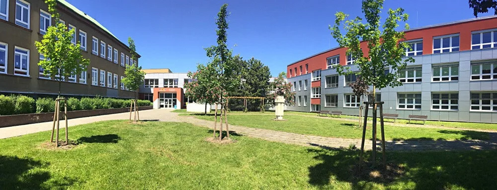 Základní škola Holečkova