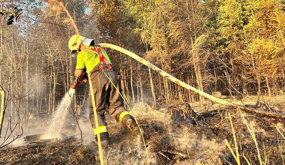 VIDEO: Ranní bouřky zklidnily plameny v lese na Olomoucku jen mírně. Hasiči požár krotili celou noc