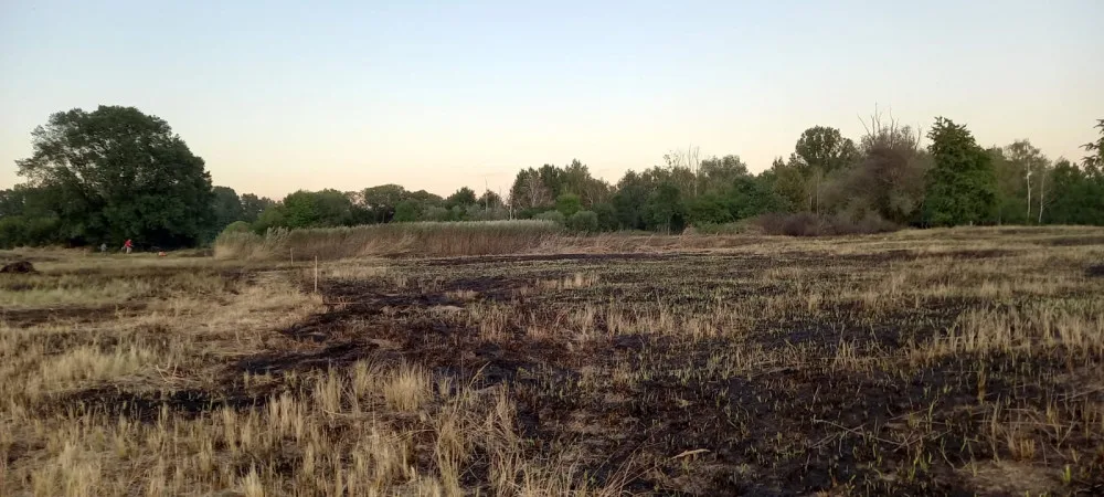 Netradiční výjezd: hasiči krotili požár na ostrově Chomoutovského jezera