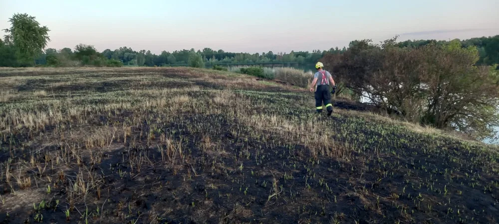 Netradiční výjezd: hasiči krotili požár na ostrově Chomoutovského jezera