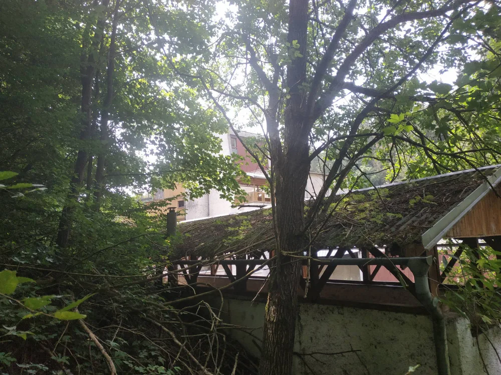 areál