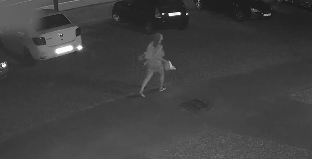 VIDEO: Kvůli požáru auta v obci Daskabát kriminalisté pátrají po neznámé ženě
