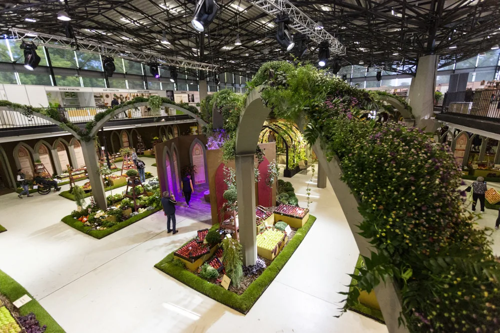 Hlavní expozice podzimní etapy výstavy Flora Olomouc