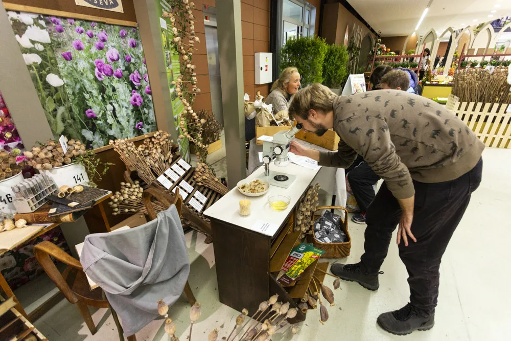 FOTOGALERIE: Zkumavky, květiny a výpěstky. Podzimní Flora přiblíží i taje genetiky