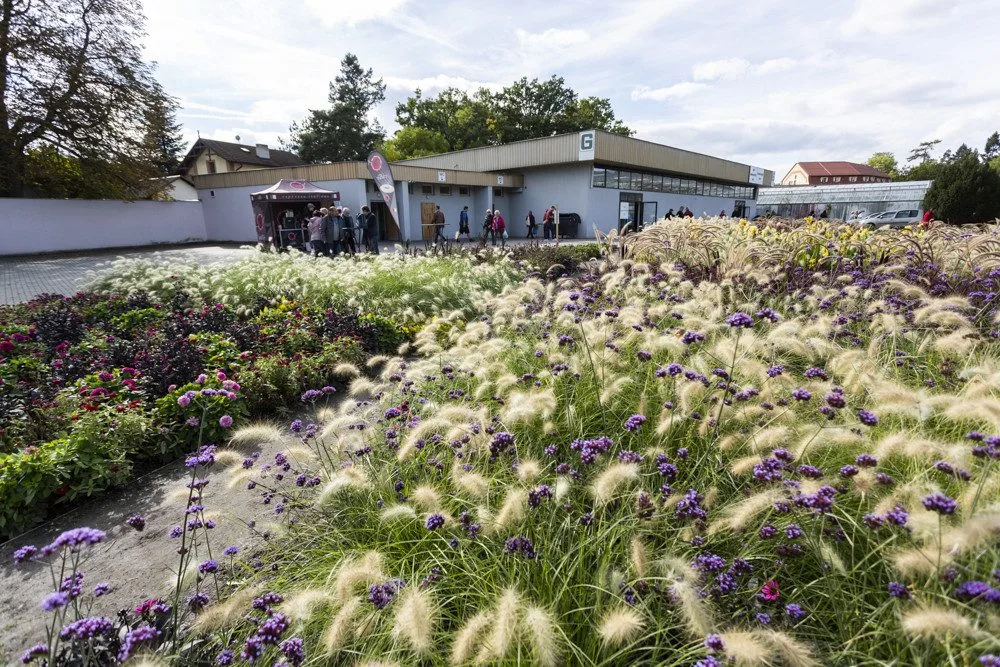 FOTOGALERIE: Zkumavky, květiny a výpěstky. Podzimní Flora přiblíží i taje genetiky