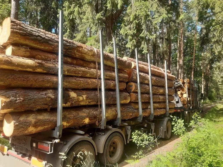 Ilustrační foto
