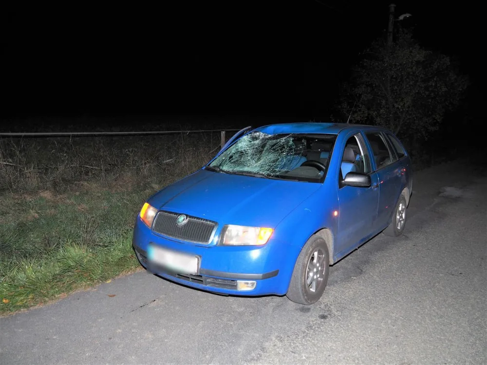 V Křižanově se před půlnocí procházel po silnici kůň. Bez úhony přežil i srážku s autem
