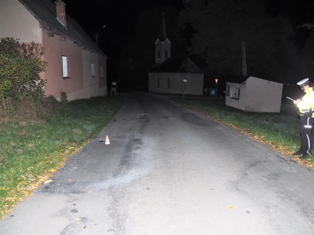 V Křižanově se před půlnocí procházel po silnici kůň. Bez úhony přežil i srážku s autem
