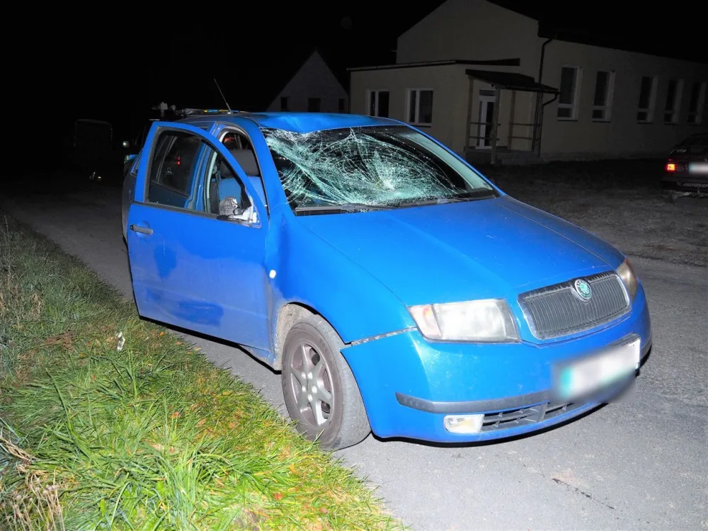 V Křižanově se před půlnocí procházel po silnici kůň. Bez úhony přežil i srážku s autem