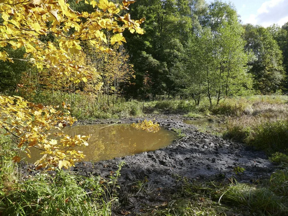 Dobrovolníci vyhloubili na Prostějovsku soustavu tůní. Ty nejmenší poslouží mlokům