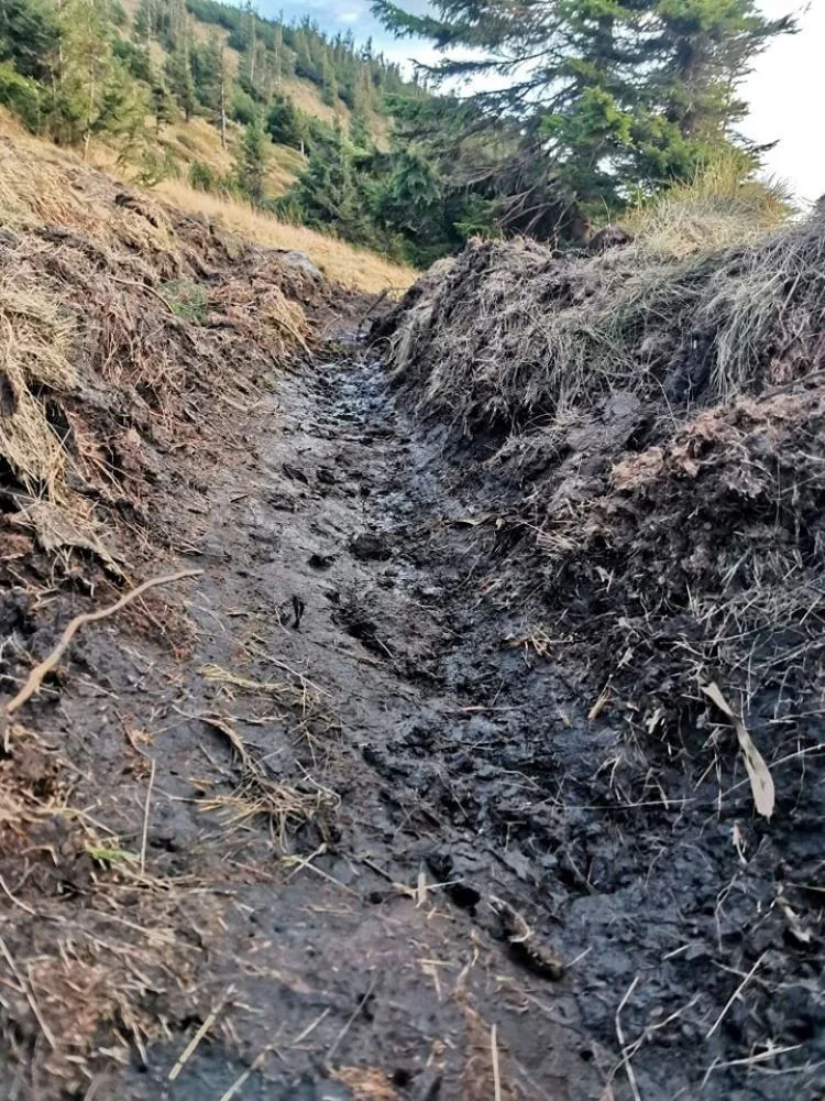 Na Červené hoře těžká technika rozjezdila vzácnou tundru. Případ už řeší inspekce životního prostředí