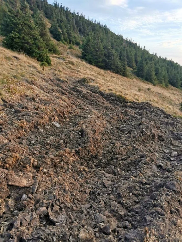 Na Červené hoře těžká technika rozjezdila vzácnou tundru. Případ už řeší inspekce životního prostředí
